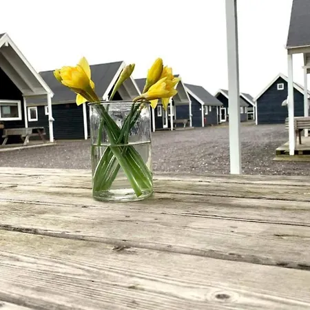 4 Star In Thyborøn